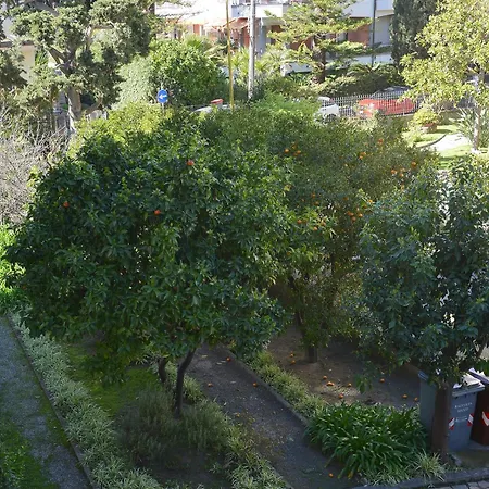 Ginestra Apartment Bordighera