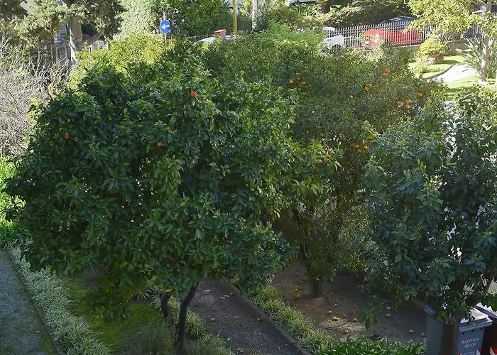 Ginestra Appartement Bordighera